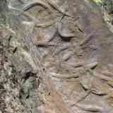 Click para ampliar. Crucianas de Las Villuercas