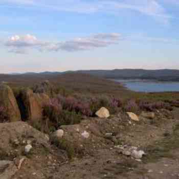 Click para ampliar. Pulsa en el nombre para ver la ficha. Urces y Castros