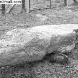 Click para ampliar. Soalar 2ª ubicación