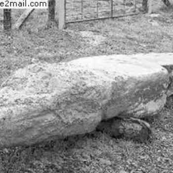 Click para ampliar. Pulsa en el nombre para ver la ficha. Soalar 2ª ubicación