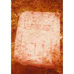 Click para ampliar. Pulsa en el nombre para ver la ficha. Inscripción de Los Barruecos