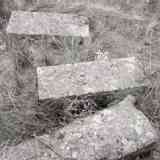 Click para ampliar. Losas de sepulcros visigodos