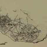 Click para ampliar. Soliformes