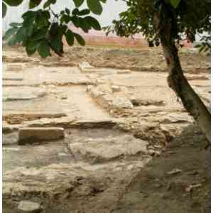 Click para ampliar. Pulsa en el nombre para ver la ficha. Yacimiento calle Ribadeo IV