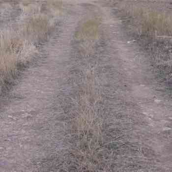 Click para ampliar. Pulsa en el nombre para ver la ficha. Castillo Castrotorafe