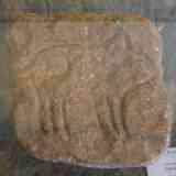 Click para ampliar. Cerdito del Lambre