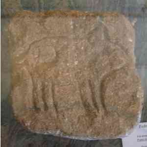 Click para ampliar. Pulsa en el nombre para ver la ficha. Cerdito del Lambre