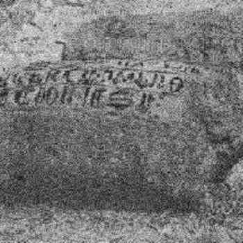 Click para ampliar. Pulsa en el nombre para ver la ficha. El oso y el jabalí