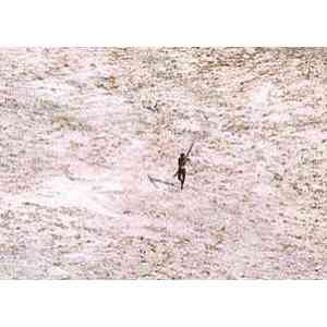 Click para ampliar. Pulsa en el nombre para ver la ficha. Sentinelés disparando a helicóptero