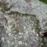 Click para ampliar. San Xurxo de Torres (cazoletas)