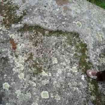 Click para ampliar. Pulsa en el nombre para ver la ficha. San Xurxo de Torres (cazoletas)