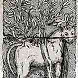 Click para ampliar. TARVOS TRIGARANUS