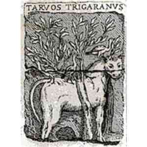 Click para ampliar. Pulsa en el nombre para ver la ficha. TARVOS TRIGARANUS