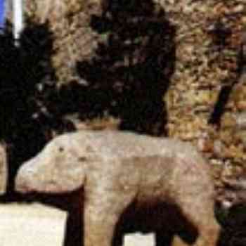 Click para ampliar. Pulsa en el nombre para ver la ficha. Jabalí prerromano de Cogotas