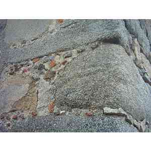 Click para ampliar. Pulsa en el nombre para ver la ficha. Mingorría. Cuartos traseros