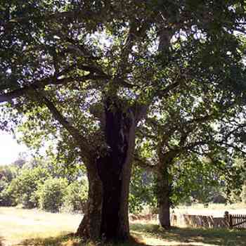 Click para ampliar. Pulsa en el nombre para ver la ficha. Ermita de San Vitorio