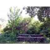 Click para ampliar. Pulsa en el nombre para ver la ficha. Ermita de San Vitorio